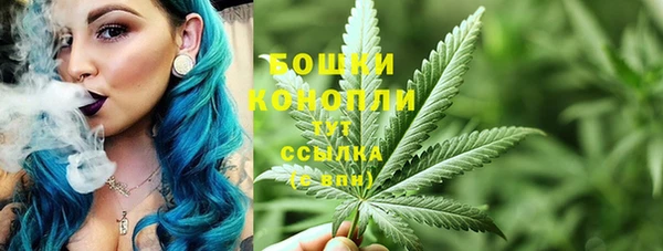 твердый Верхний Тагил