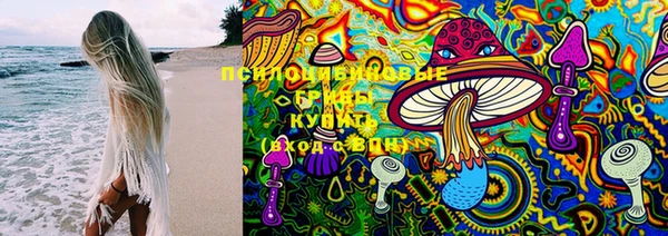 соль курить ск Бородино
