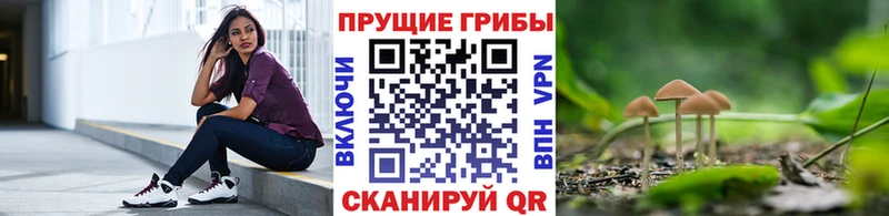 Купить закладки  Нестеров  Галлюциногенные грибы мухоморы 